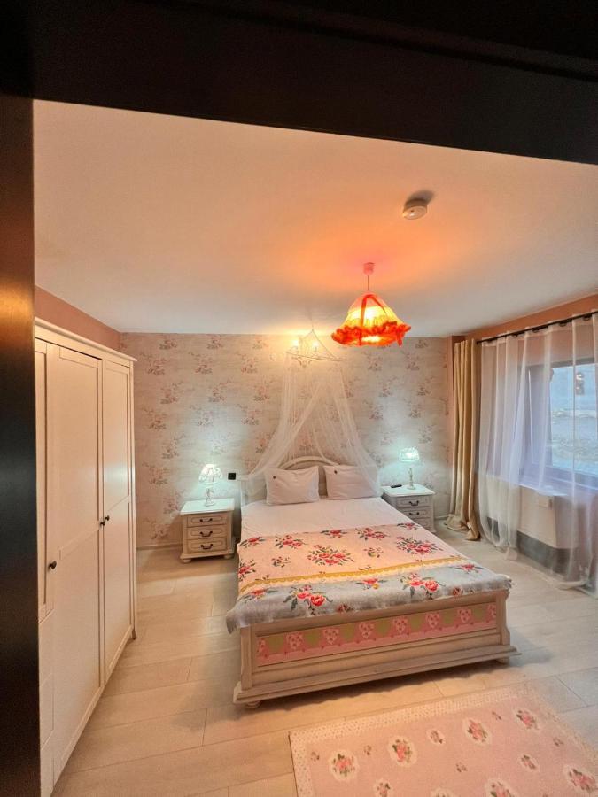 Vila Alsace Podu' Cu Lanturi Bacău Exterior foto